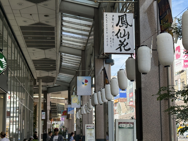 いづろ通り灯篭飾り2